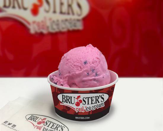Order Small Cup (2 Scoops) food online from Bruster'S Real Ice Cream store, Suwanee on bringmethat.com