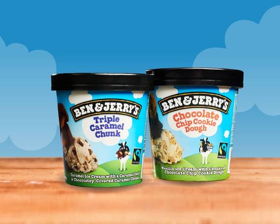 Order Prepacked Pints (16oz) food online from Ben & Jerry's store, Portland on bringmethat.com