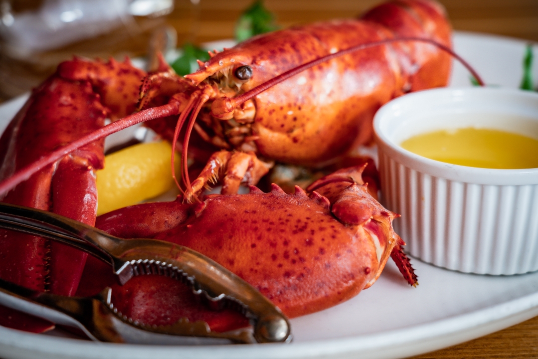 Order Whole Maine Lobster food online from The Boathouse store, Midlothian on bringmethat.com