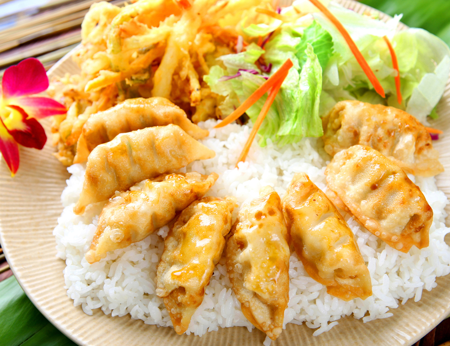 Order #14. Chicken Gyoza Dinner food online from Teriyakiya store, Granada Hills on bringmethat.com