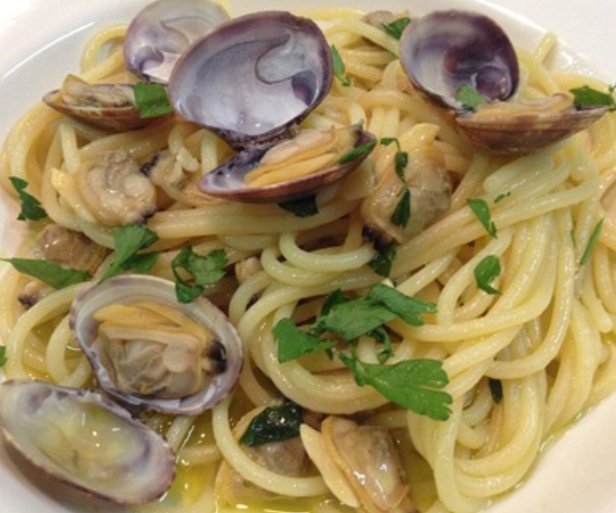 Order Linguini Clam Sauce food online from Roma Pizza store, Brooklyn on bringmethat.com