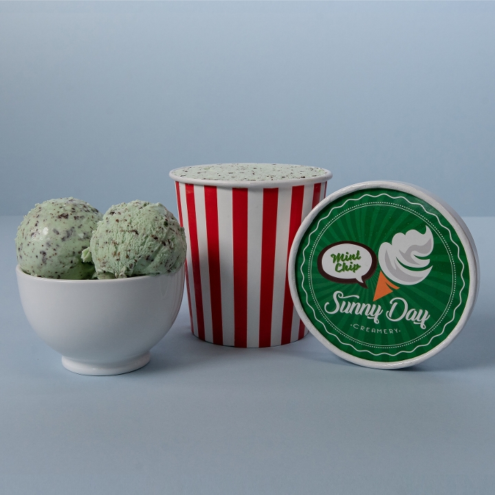 Order Sunny Day  Mint Chocolate Chip Ice Cream  (Pint) food online from Pizzeria Bravo store, San Francisco on bringmethat.com