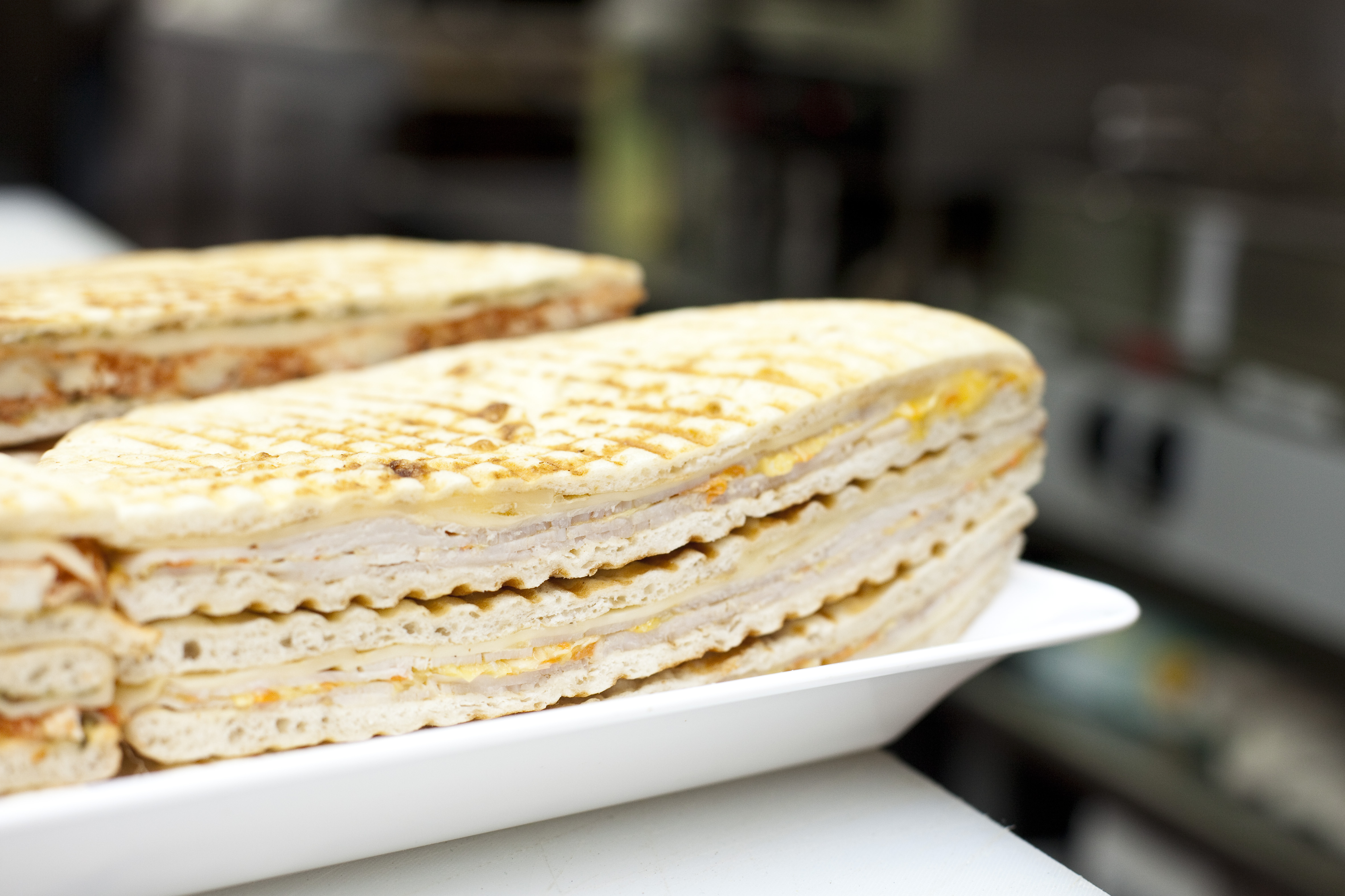Order Delightful Panini food online from Mediterranean Grill And Bar store, New York on bringmethat.com