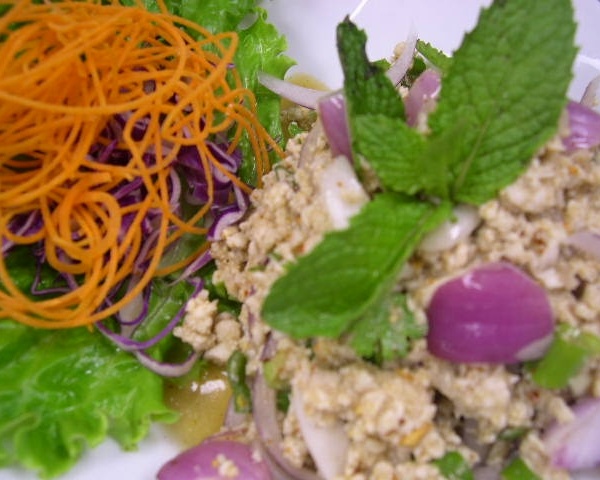 Order 14. Larb Kai food online from My Thai Place store, Centreville on bringmethat.com