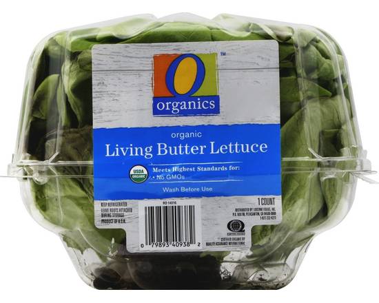 Order O Organics · Living Butter Lettuce (1 lettuce) food online from Albertsons store, Hillsboro on bringmethat.com