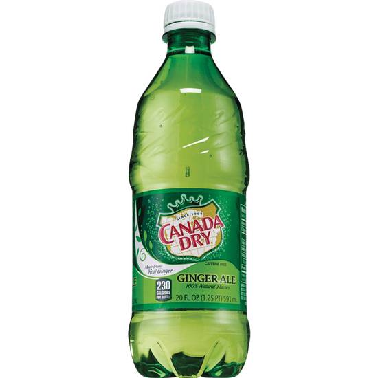 Order Canada Dry Ginger Ale Soda (Single Bottle) food online from Cvs store, FARGO on bringmethat.com