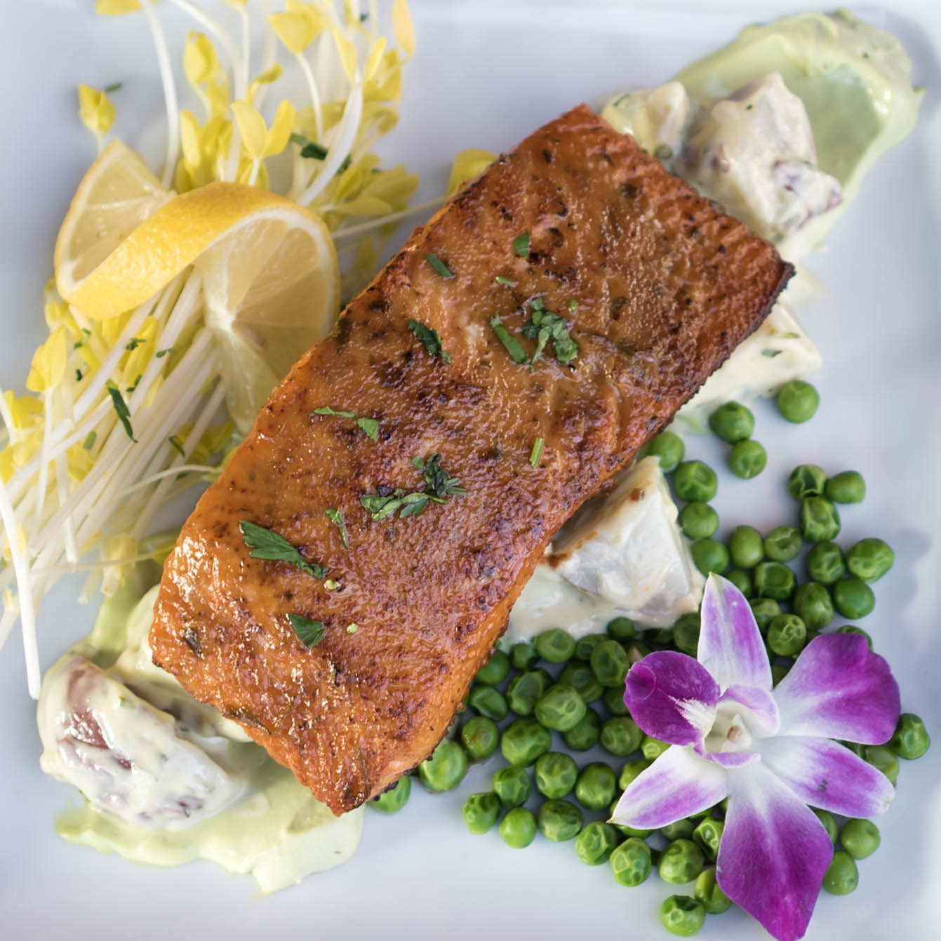 Order Miso Salmon food online from Twisted Oak Tavern store, Agoura Hills on bringmethat.com
