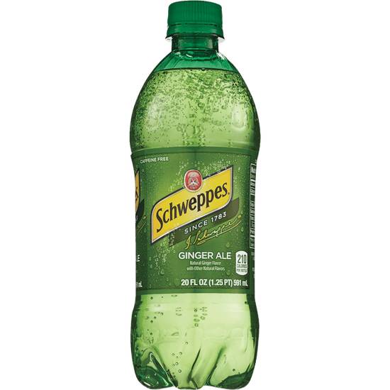 Order Schweppes Ginger Ale Soda (Single Bottle) food online from Cvs store, SAINT CLAIR SHORES on bringmethat.com