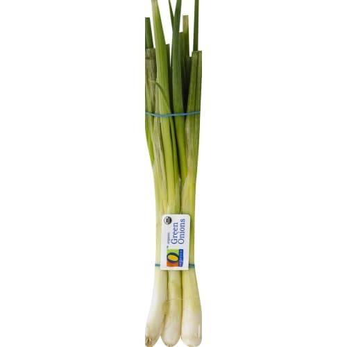 Order Organic Green Onion (1 onion) food online from Albertsons Express store, Alexandria on bringmethat.com