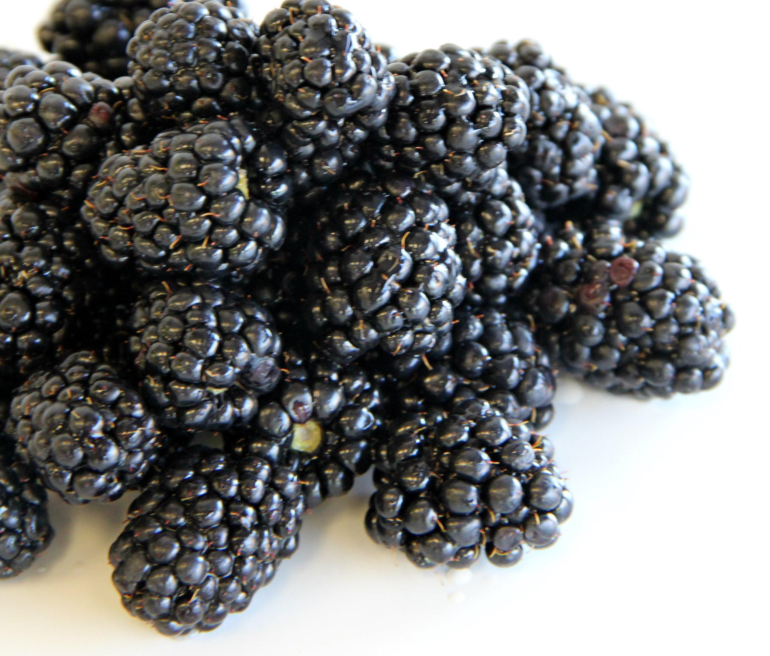 Order Blackberries    1.5oz food online from Yogurtini store, Glendale on bringmethat.com