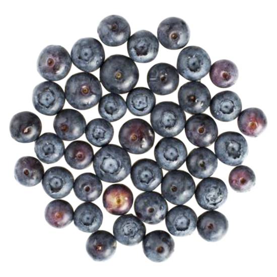 Order Blueberries 1pt food online from Everyday Needs by Gopuff store, Lansdowne on bringmethat.com