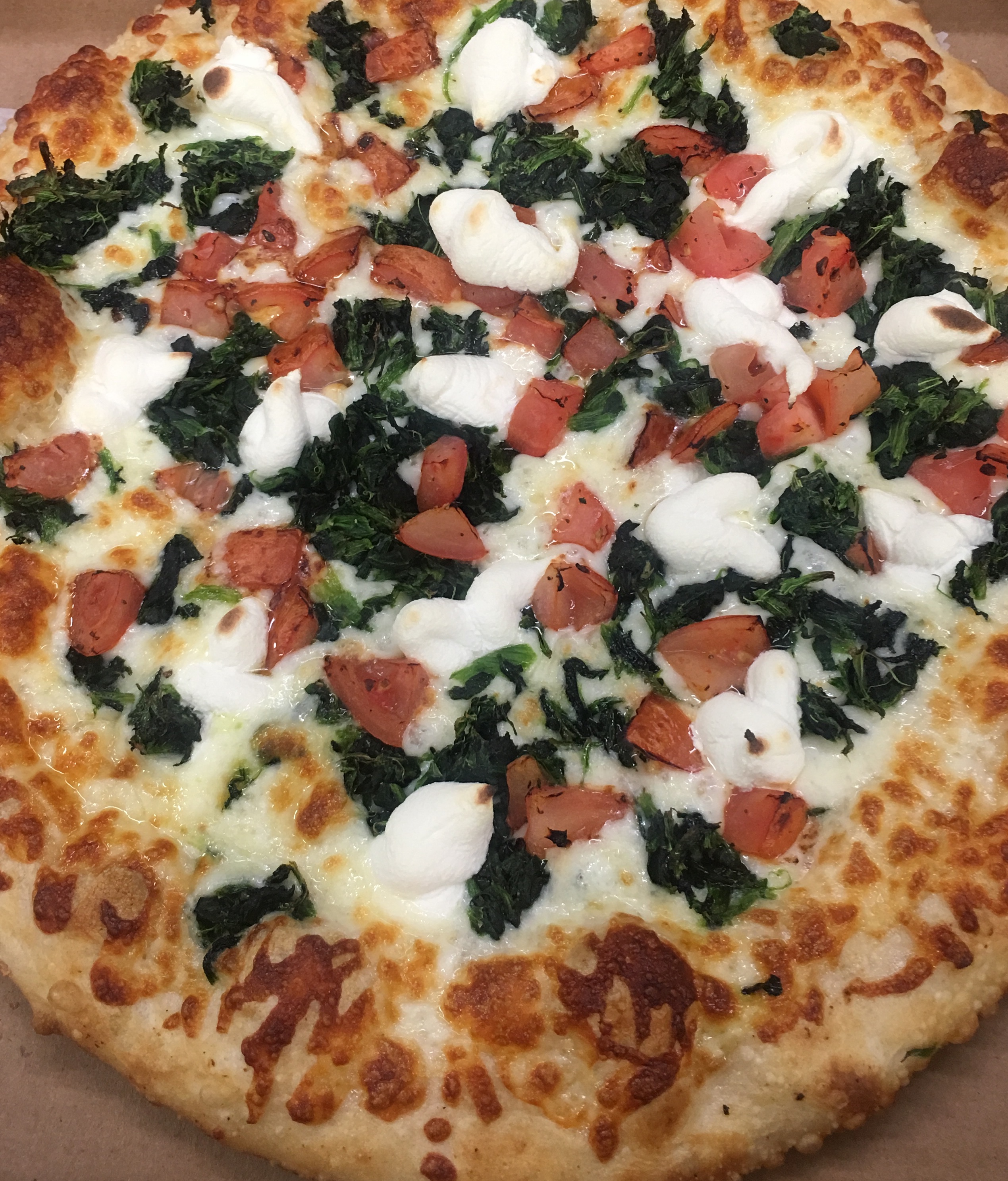Order White Pizza food online from Roma Pizza store, Bear on bringmethat.com