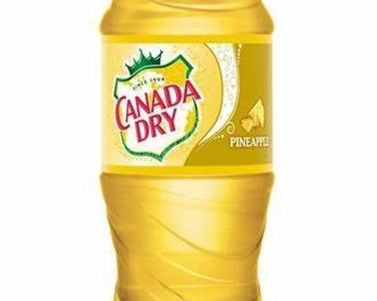 Order Canada Dry Pineapple food online from Fibber Sports Bar & Grille store, Upper Darby on bringmethat.com
