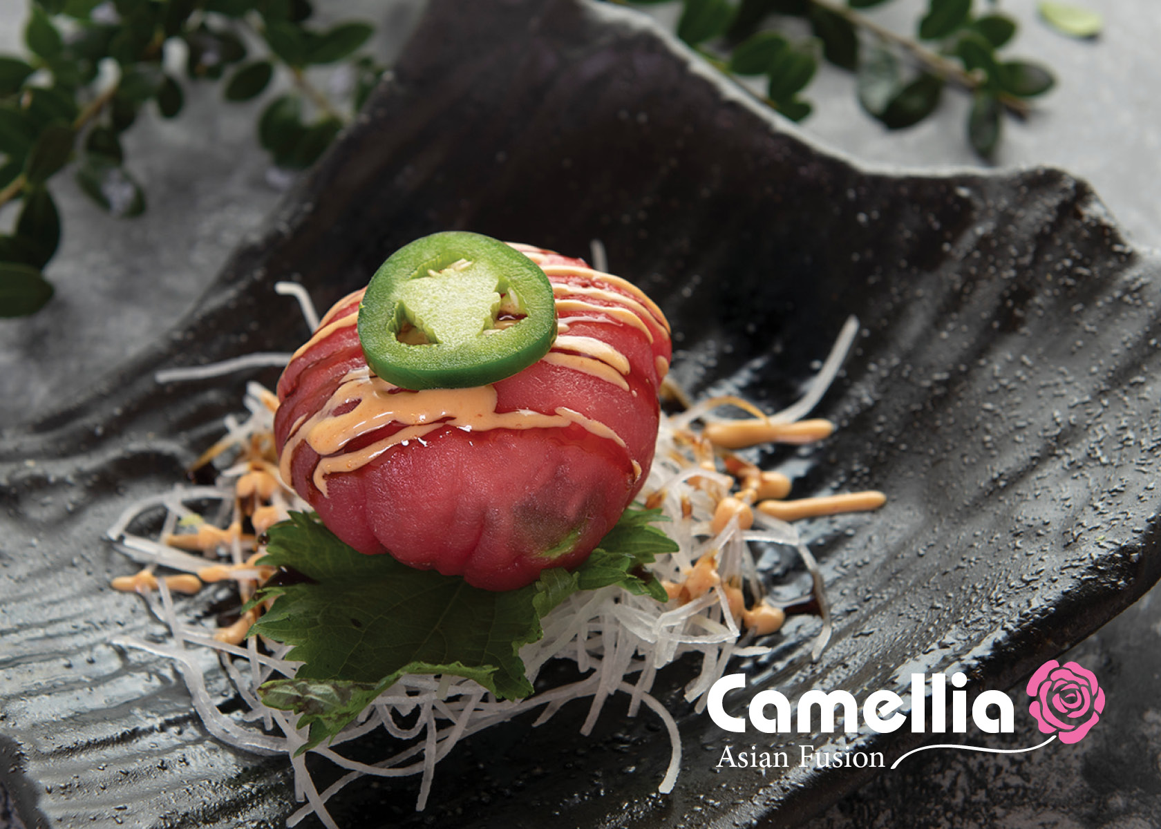 Order Tuna Dumpling  food online from Camellia Asian Fusion store, Oceanside on bringmethat.com