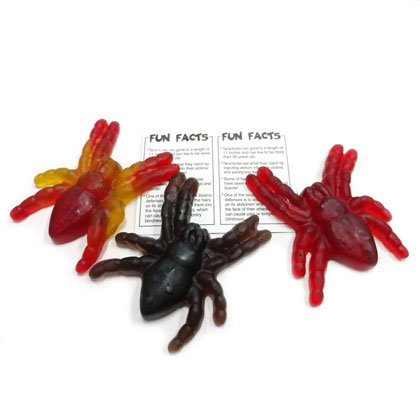 Order Jelly Belly Gummi Pet Tarantula 1.5 oz.  food online from Chocolate Boutique store, Pittsburgh on bringmethat.com