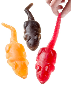 Order Jelly Belly Giant Gummy Rat food online from Chocolate Boutique store, Pittsburgh on bringmethat.com