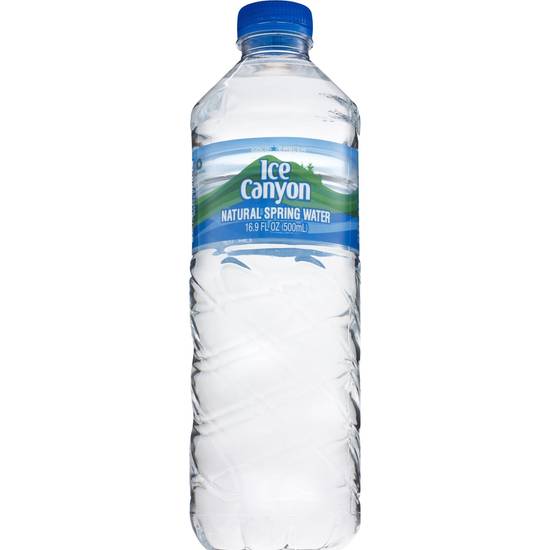 Order Gold Emblem Ice Canyon Natural Spring Water, 16.9 OZ food online from Cvs store, LANETT on bringmethat.com