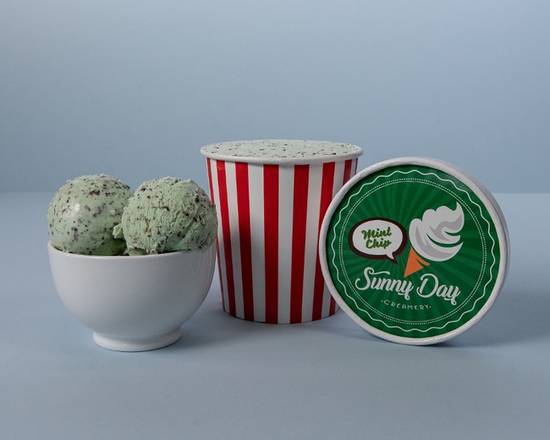 Order Mint Chocolate Chip Ice Cream (Pint) food online from @Pizza store, San Francisco on bringmethat.com