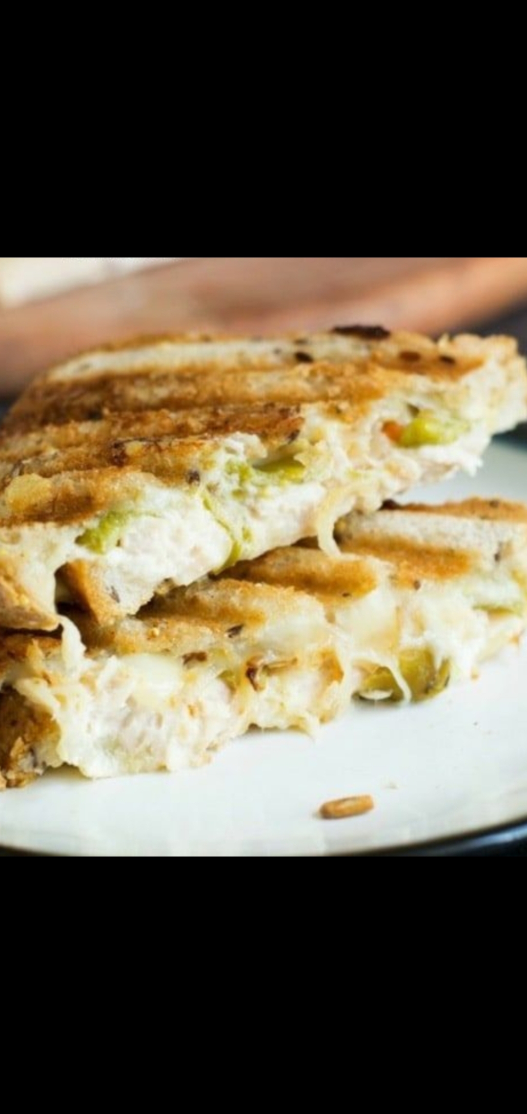 Order Classic Spicy Tuna Melt Panini (tuna melted  jack cheese jalapeños,  tomatoes) food online from American Gourmet Foods Deli store, New York on bringmethat.com