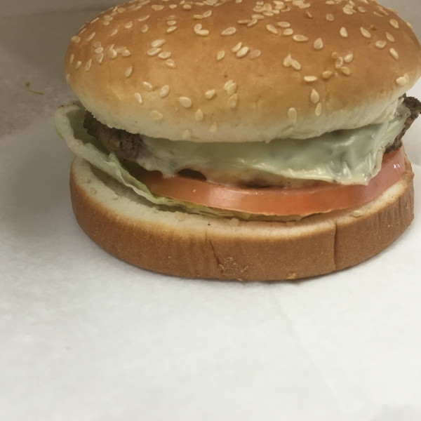 Order Double Cheese Burger food online from Ozzy Pizza Ii store, Philadelphia on bringmethat.com