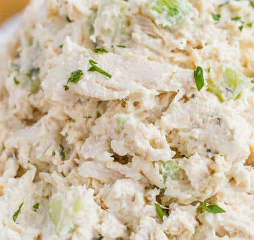 Order #33 - Chicken Salad Light Plate food online from Tj Deli store, Winston Salem on bringmethat.com