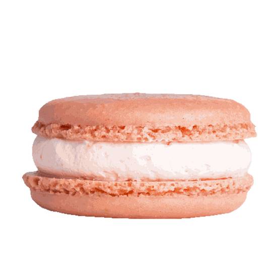 Order Macaron x18 food online from Kung Fu Tea store, Buford on bringmethat.com