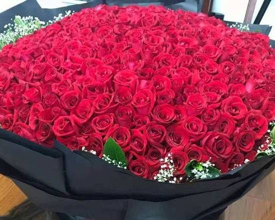 Order 100 Roses RED! Cant Live Without You! $100 OFF COUPON CALL/TEXT IN DISCOUNT 949 698 2014 food online from 800 Rose Big Florist Gifts & Desserts store, Newport Beach on bringmethat.com
