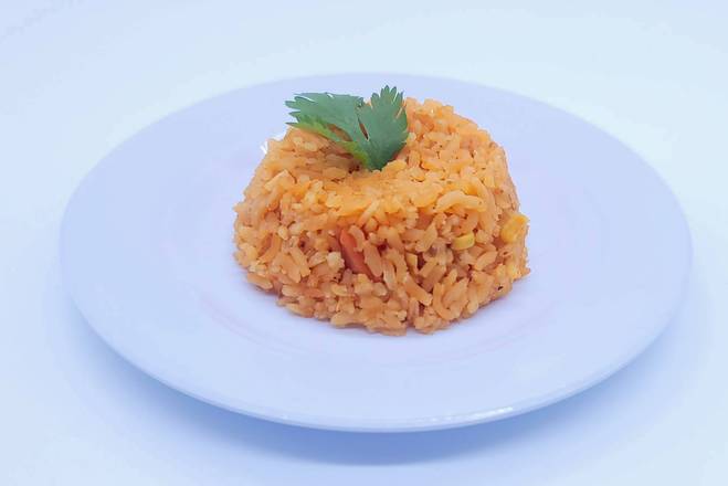 Order Rice (Arroz) food online from El Nopal Mexican Food store, Goshen on bringmethat.com