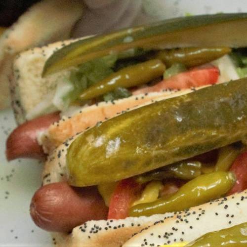 Order Hot Dog (no fries) food online from Bellalukes Of Lake Zurich store, Lake Zurich on bringmethat.com
