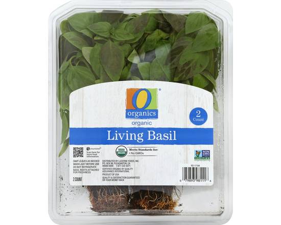 Order O Organics · Living Basil (2 ct) food online from Vons store, Fillmore on bringmethat.com