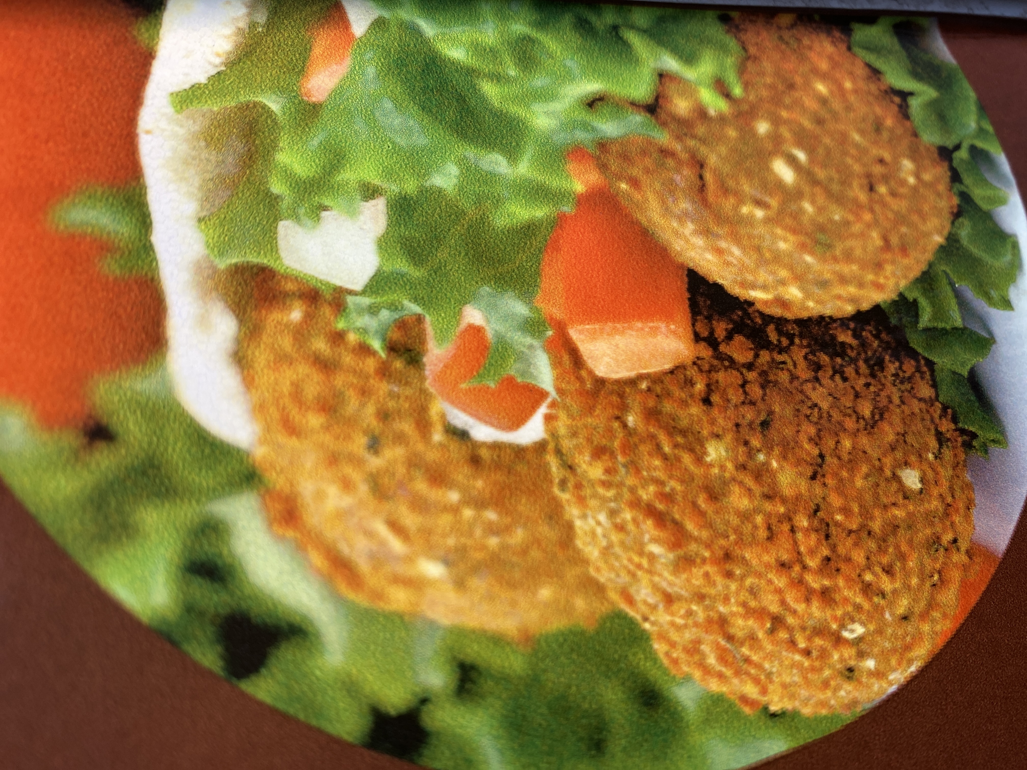 Order Falafel Gyros food online from Indian King Birayni House store, New York on bringmethat.com