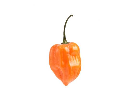 Order Habanero Peppers (1 pepper) food online from Albertsons Express store, Yuma on bringmethat.com