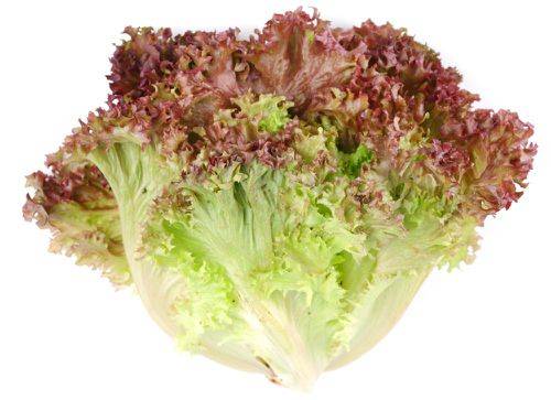 Order Red Leaf Lettuce (1 ct) food online from Winn-Dixie store, Pinson on bringmethat.com