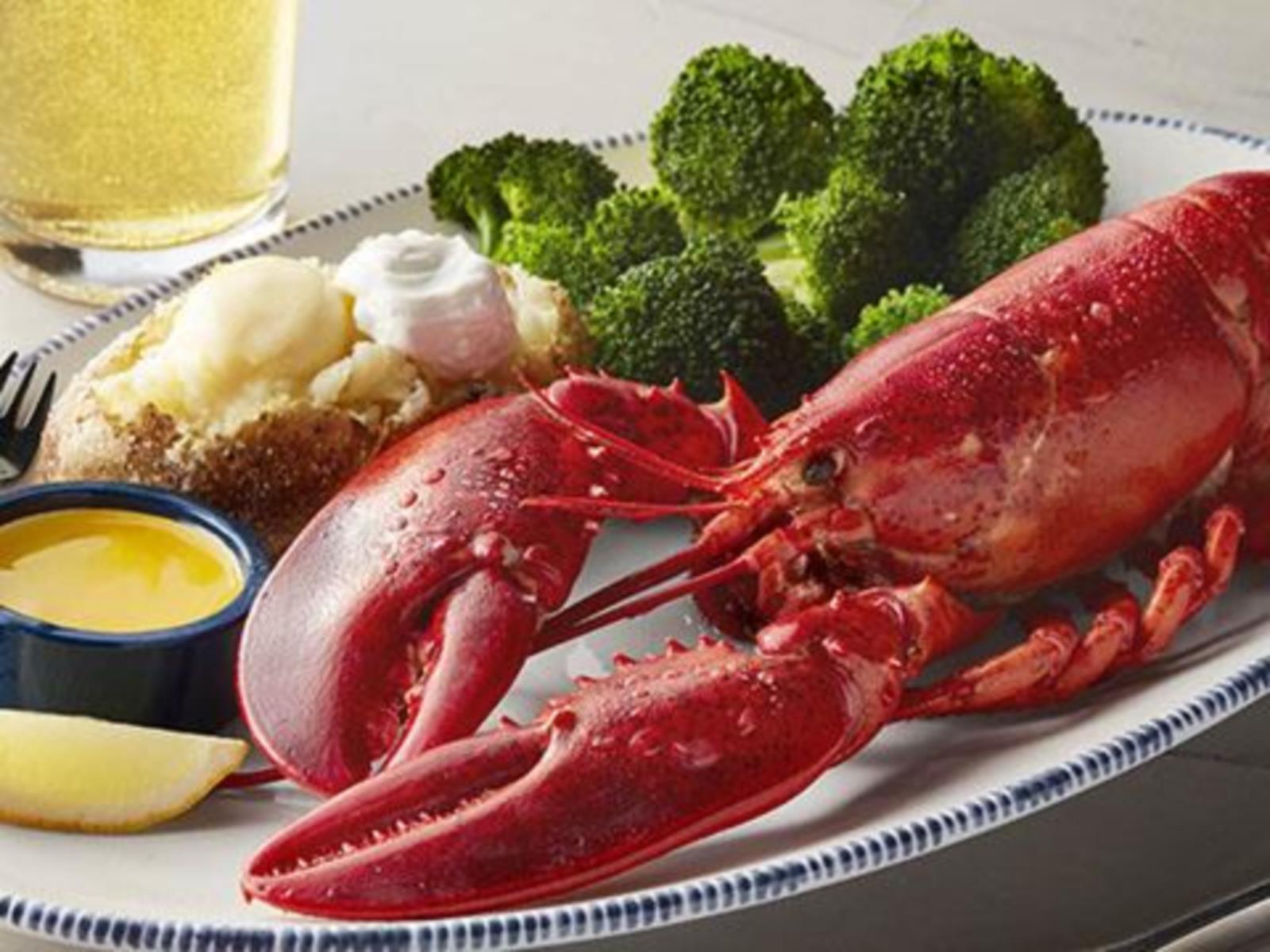 Order Live Maine Lobster (1.25 Lb.) food online from Red Lobster store, Toms River on bringmethat.com