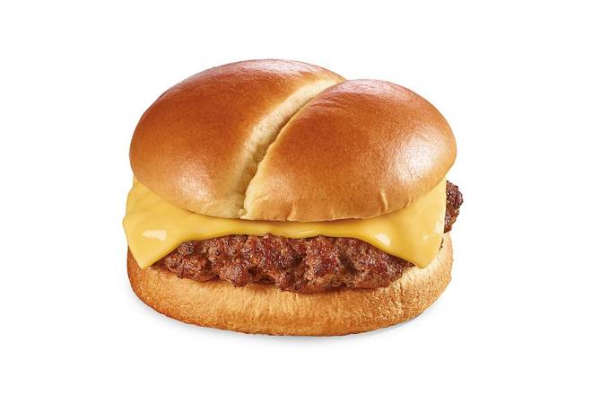 Order Just For Kids Burger food online from The Burger Den store, Pleasanton on bringmethat.com