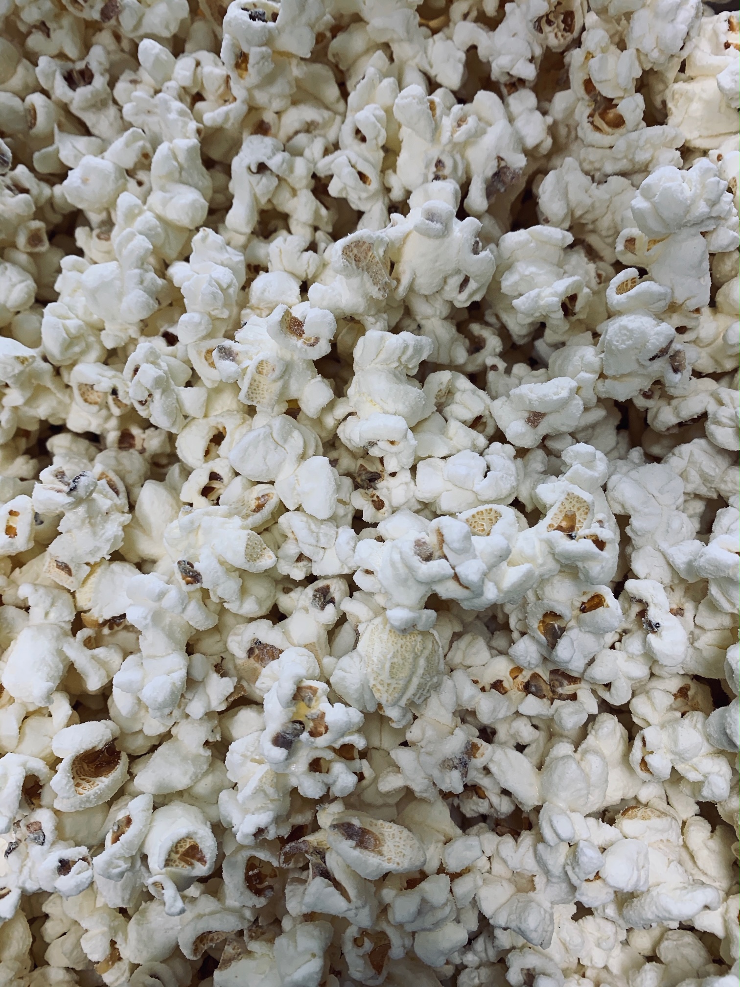 Order Savory Popcorn food online from The Kandied Kernel store, Cicero on bringmethat.com