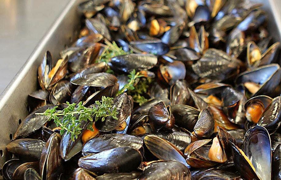 Order Mussels Catering - Half Tray (8-12 People) food online from Lunetta pizza store, New York on bringmethat.com