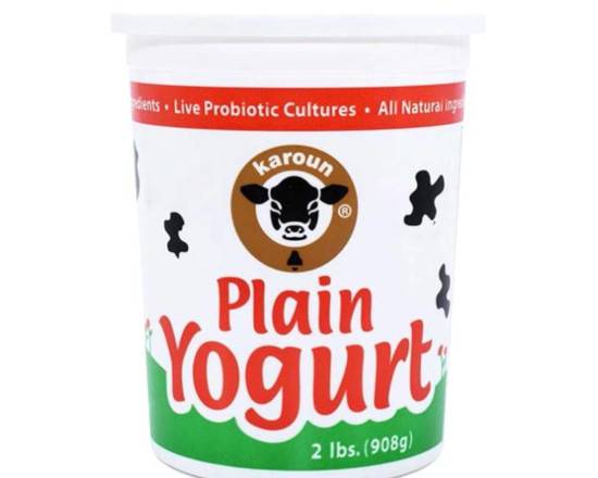 Order Karoun Whole Milk Yogurt (32 oz) food online from Nohadra Grocery store, Chicago on bringmethat.com