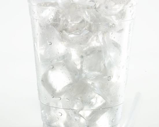 Order CUP OF ICE food online from Taylor To Your Eats,Llc store, Covington on bringmethat.com