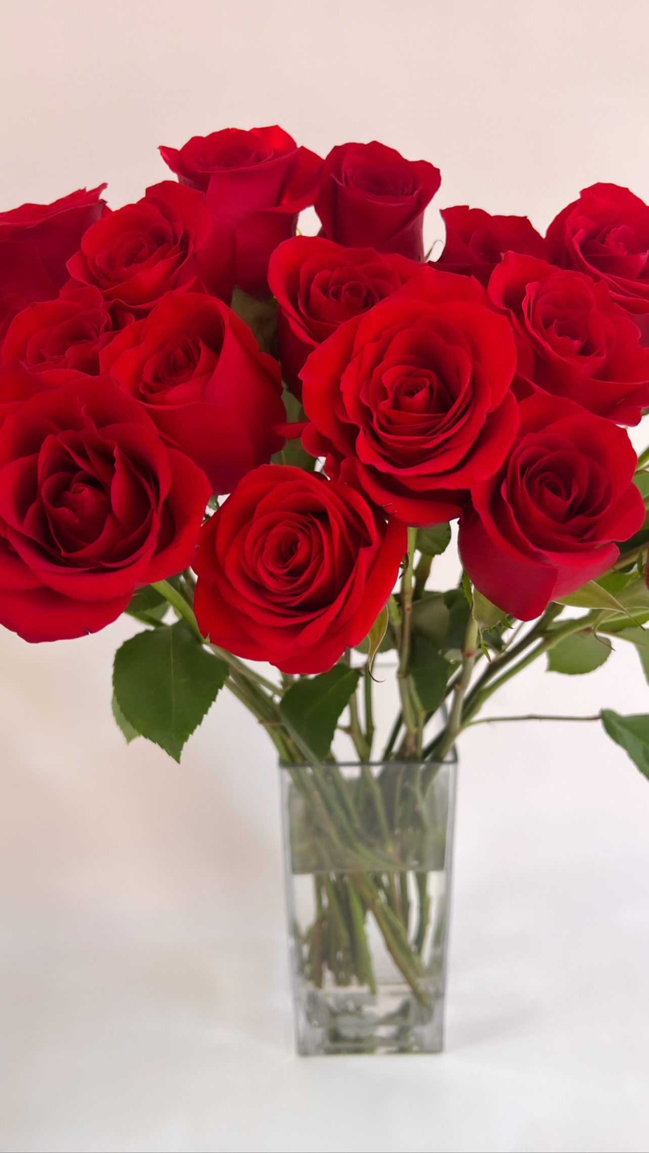 Order 12 Long Stemmed Premium Roses food online from Lilly Bouqs store, Clifton on bringmethat.com