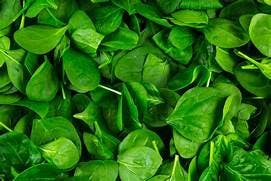 Order Spinach - Side food online from Pino Ii Pizzeria & Restaurant store, Nazareth on bringmethat.com
