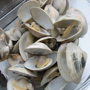 Order LN Clams Dozen food online from Earp's Seafood Market store, Raleigh on bringmethat.com