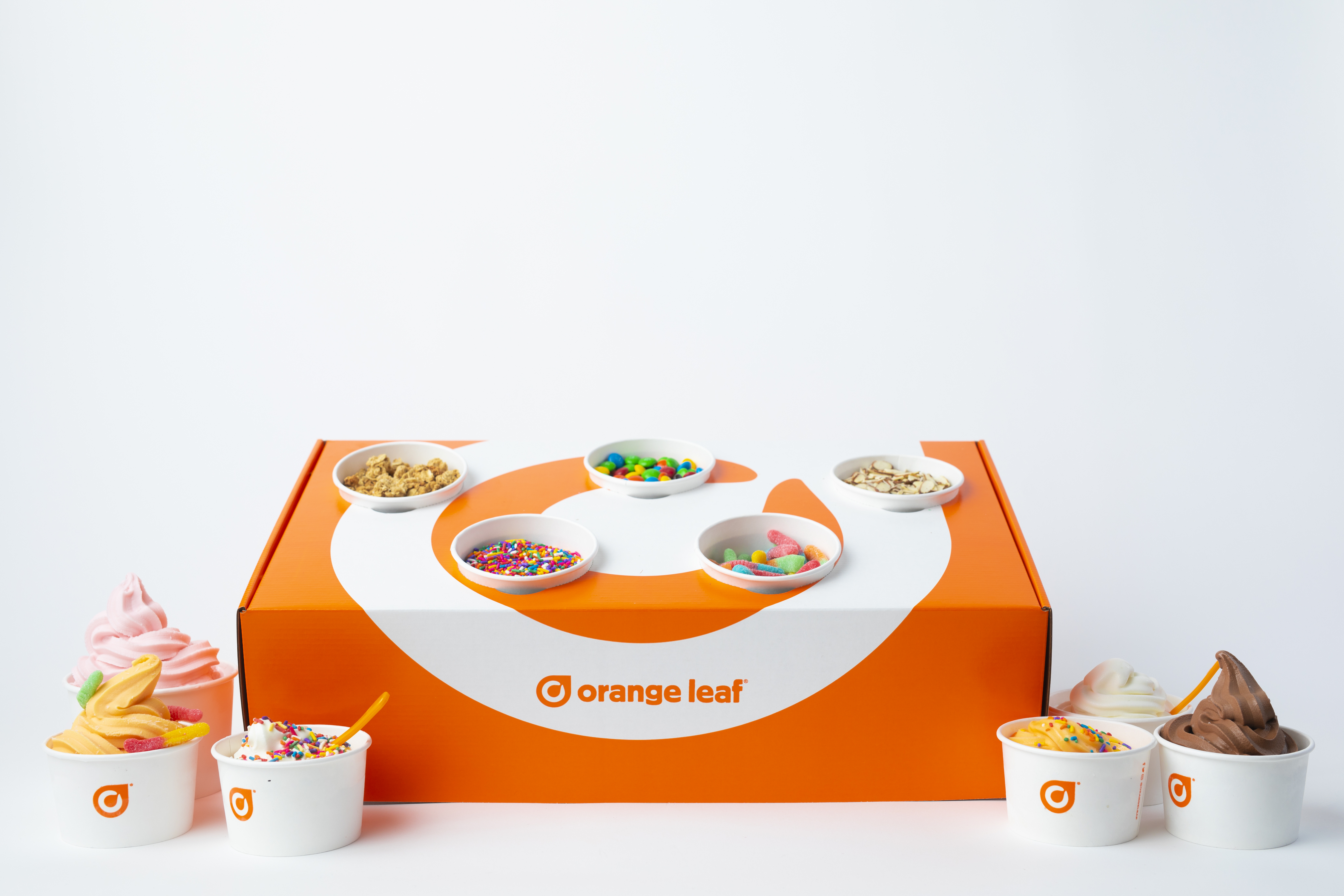 Order Small Party Box food online from Orange Leaf store, Selma on bringmethat.com