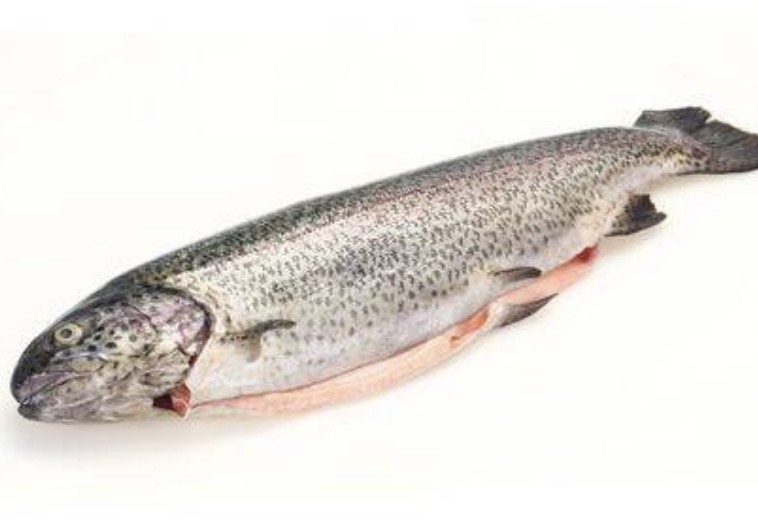 Order Raw Trout food online from Chop Shop Butcher & Grill store, Los Angeles on bringmethat.com