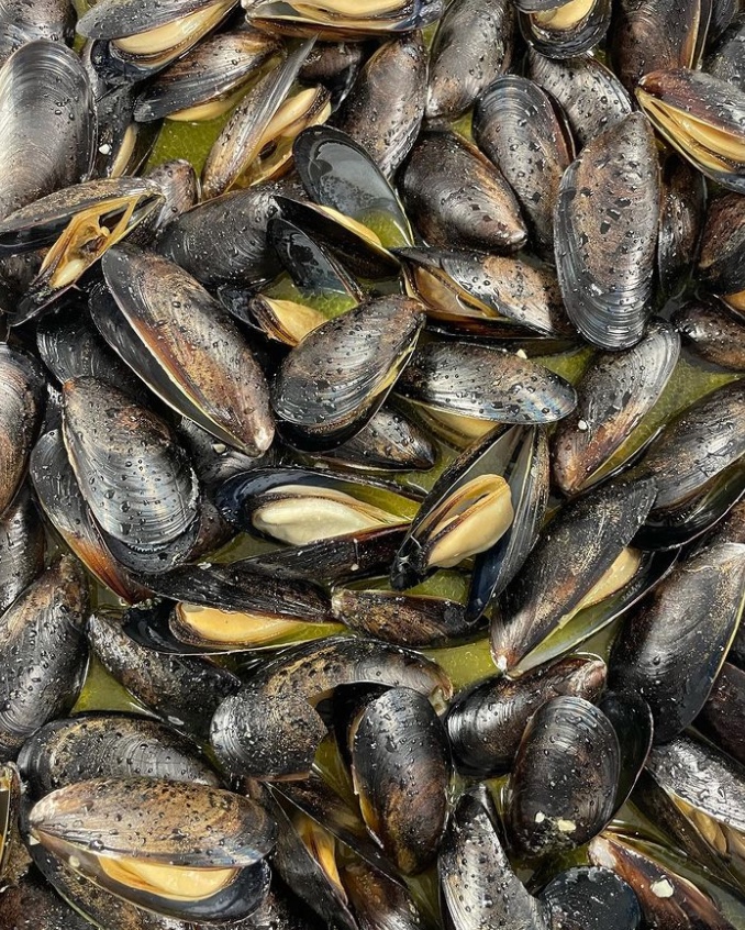Order Mussels food online from Pj Buckets store, Ventnor City on bringmethat.com
