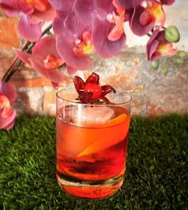 Order Paradise Negroni food online from Bkk In The Alley store, Burlington on bringmethat.com