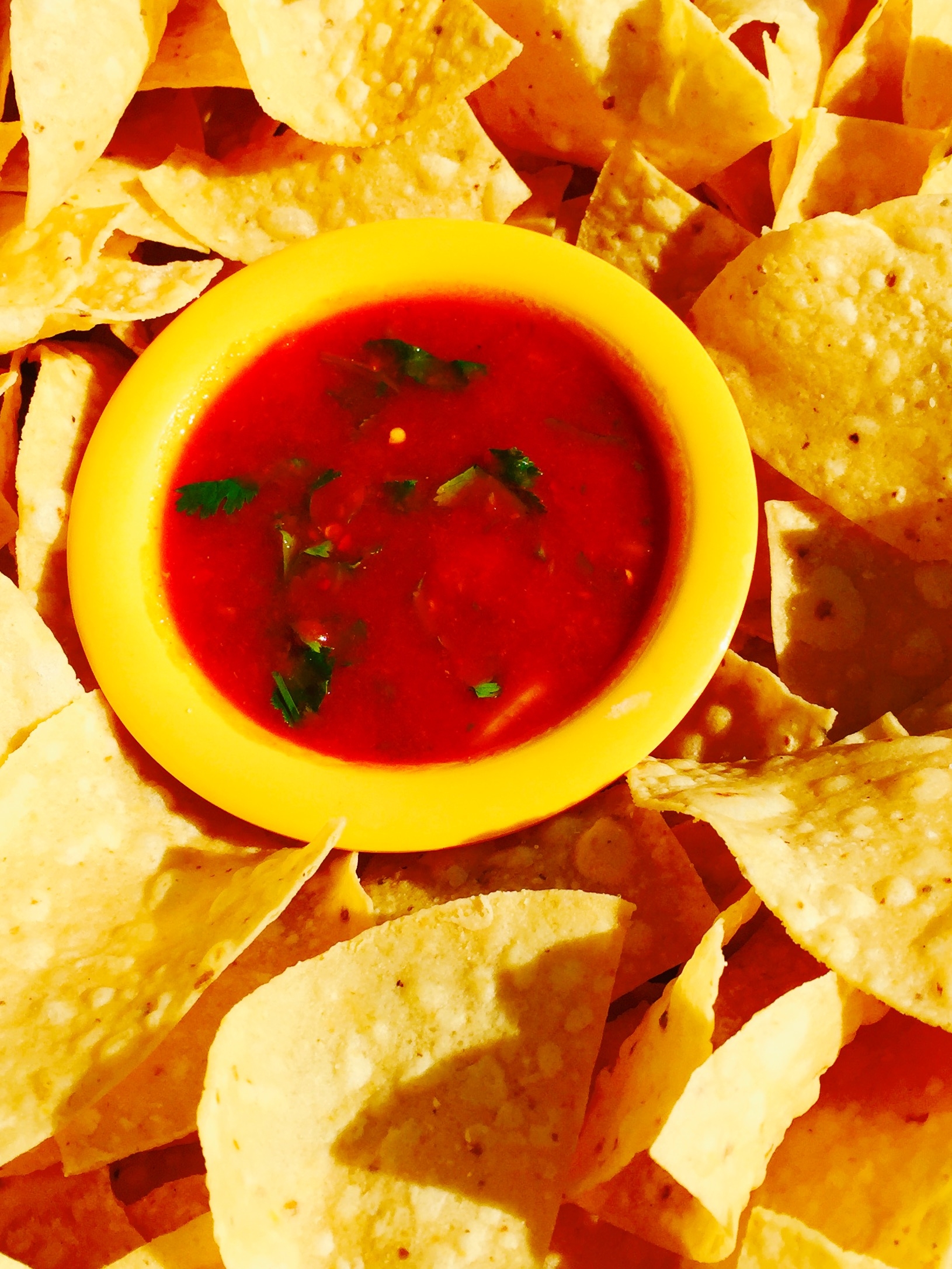 Order Pint of Salsa+Bag of Chips food online from Guahan Grill store, Oceanside on bringmethat.com