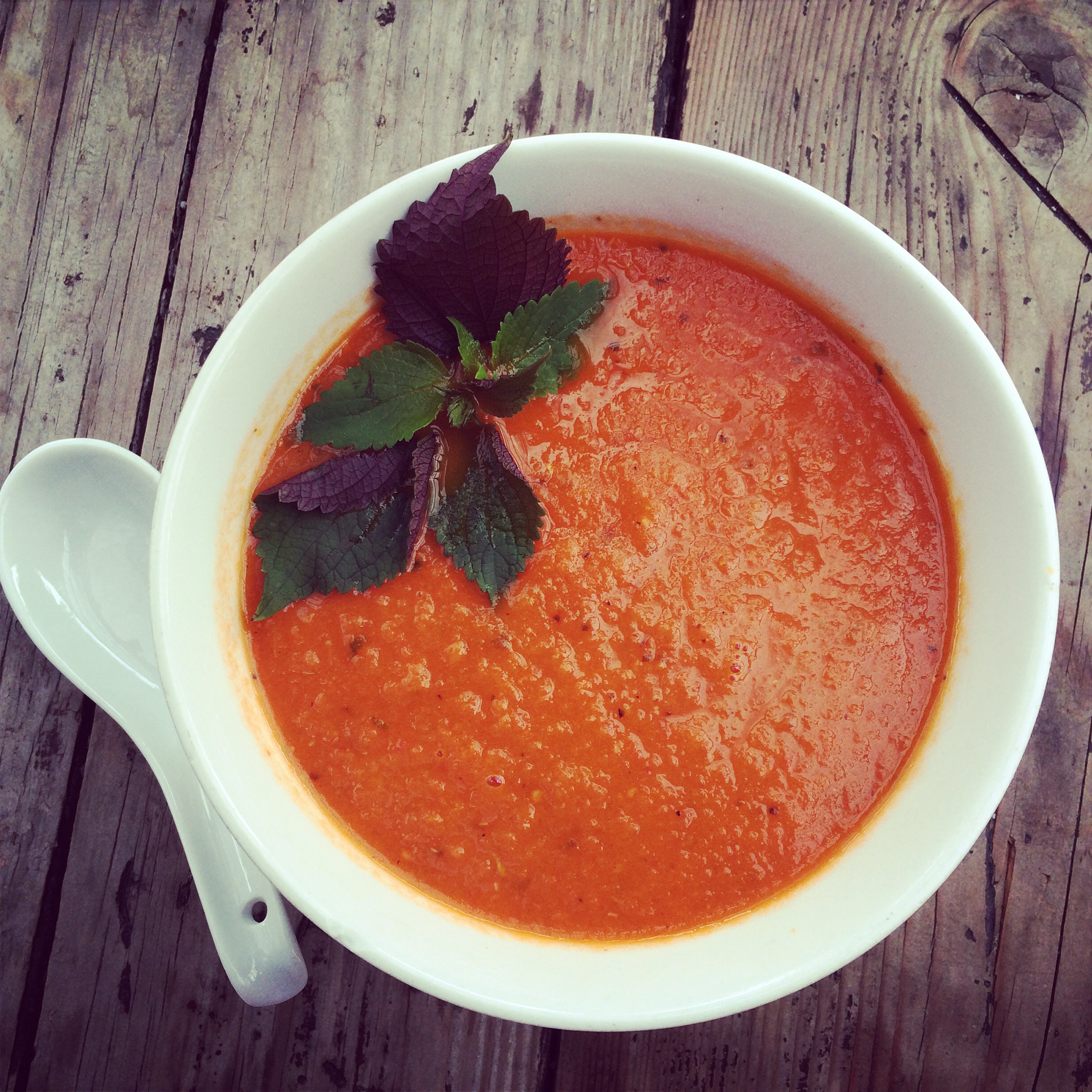 Order Roasted Tomato Soup food online from Tiato store, Santa Monica on bringmethat.com