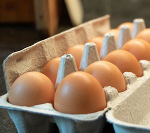 Order Local Cage-free Eggs by the Dozen food online from Dianna Bakery & Cafe Deli Specialty Market store, Benicia on bringmethat.com