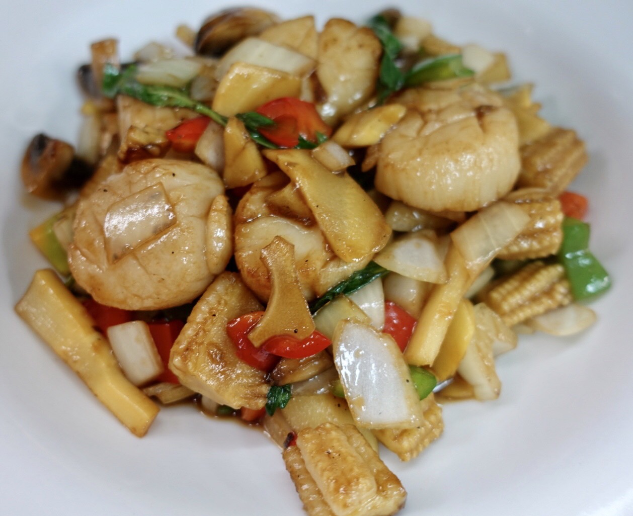 Order Sauteed Sea Scallops food online from Sushi Thai II store, Vernon Hills on bringmethat.com